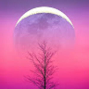 Meet your Posher, Tami